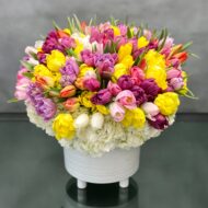 Tulips Placed in the Sun - beverlyhillsflorist