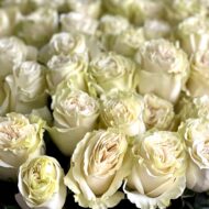 White Heaven - beverlyhillsflorist