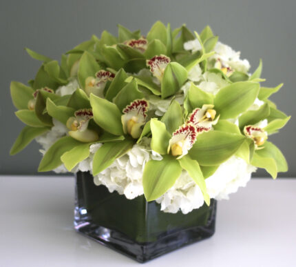 Green Orchid Overture - beverlyhillsflorist