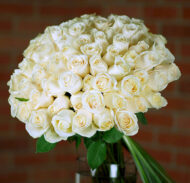 Valentine - White Floral Comets - beverlyhillsflorist