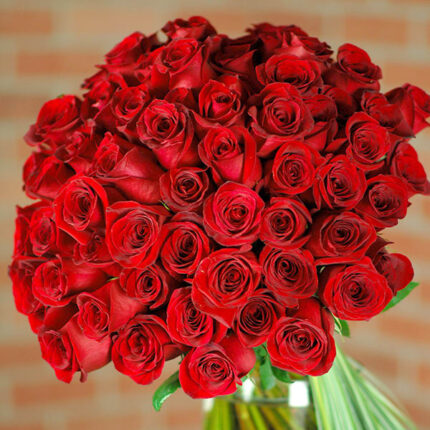 Crimson Comets - beverlyhillsflorist