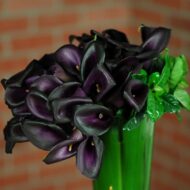 Twilight Romance - beverlyhillsflorist