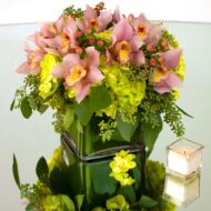 Pink-a-Boo Orchids - beverlyhillsflorist