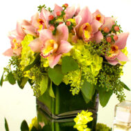 Pink-a-Boo Orchids - beverlyhillsflorist