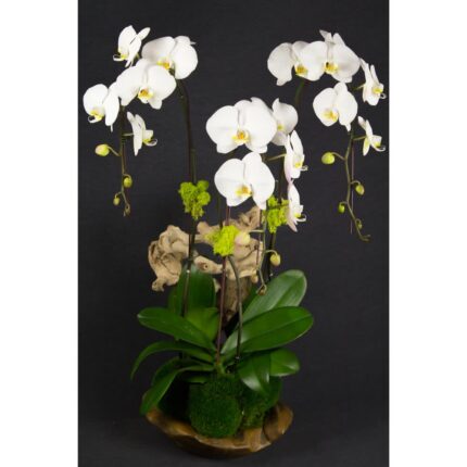 Outpouring Of Orchids - beverlyhillsflorist