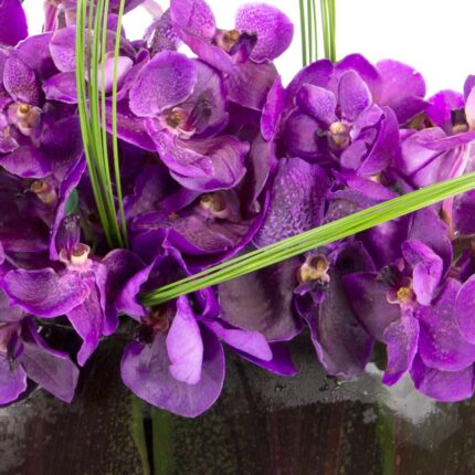 Whimsical Vandas - beverlyhillsflorist