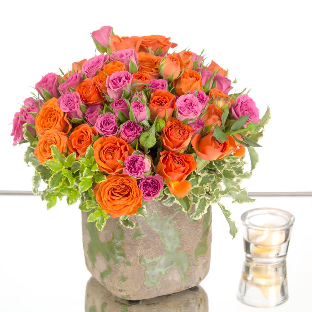 20160308041146_file_56de51024d00e Vibrant Rose Chorus - beverlyhillsflorist