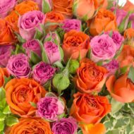 Vibrant Rose Chorus - beverlyhillsflorist
