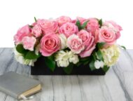 Pink Lady - beverlyhillsflorist