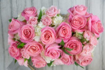 Pink Lady - beverlyhillsflorist