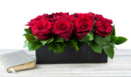 Rows of Roses - beverlyhillsflorist