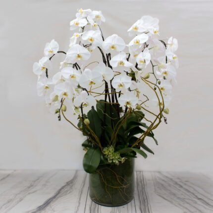 Ms. Bey - beverlyhillsflorist