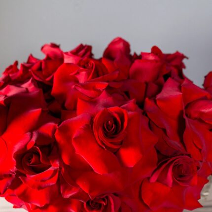 American Beauty - beverlyhillsflorist