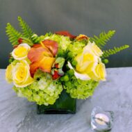 The Awakening of Love - beverlyhillsflorist