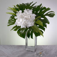 White Vanda Bliss - beverlyhillsflorist