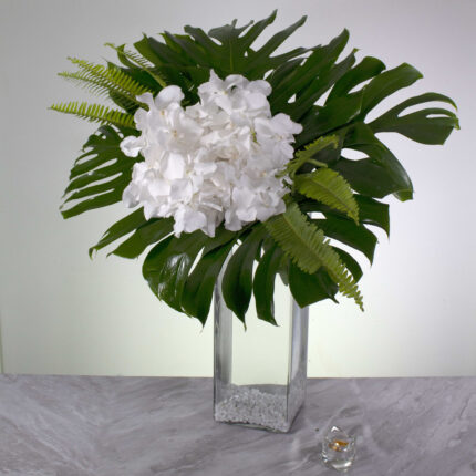 White Vanda Bliss - beverlyhillsflorist