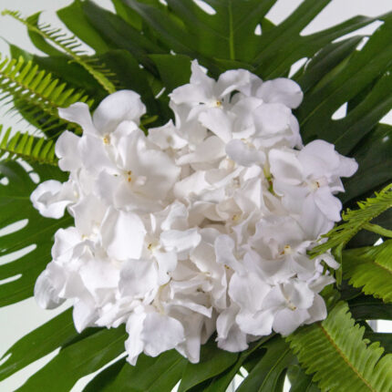 White Vanda Bliss - beverlyhillsflorist