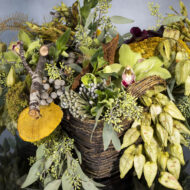 Feeling Green - beverlyhillsflorist