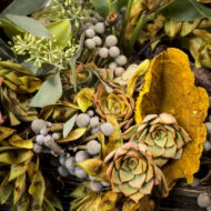 Feeling Green - beverlyhillsflorist