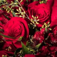 Rapture of Roses - beverlyhillsflorist