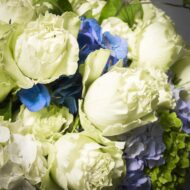 Rose Potpourri - beverlyhillsflorist