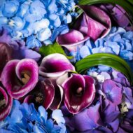 Phantom - beverlyhillsflorist