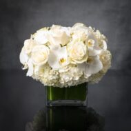 Valentines - Pearl Elegance - beverlyhillsflorist