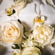 Valentines - Pearl Elegance - beverlyhillsflorist