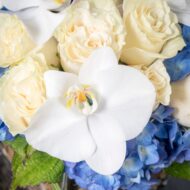 Heart of the Sea - beverlyhillsflorist
