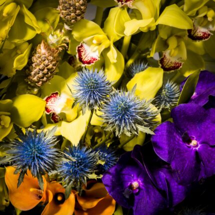 Tropical Paradise Part II - beverlyhillsflorist