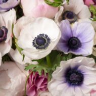 Love Bejeweled - beverlyhillsflorist