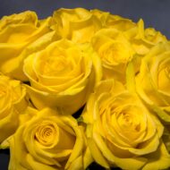 Sweet Sunrise - beverlyhillsflorist