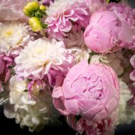 Midsummer Medley - beverlyhillsflorist