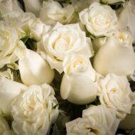 Whispering Beauty - beverlyhillsflorist