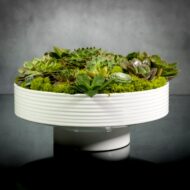 Zen Essence - beverlyhillsflorist