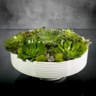 Zen Essence - beverlyhillsflorist