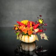 Pumpkin Chilli Spice - beverlyhillsflorist