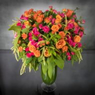 Rainbow Sherbet - beverlyhillsflorist