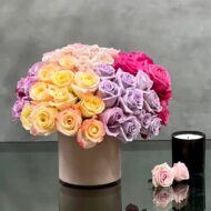 Colorful roses