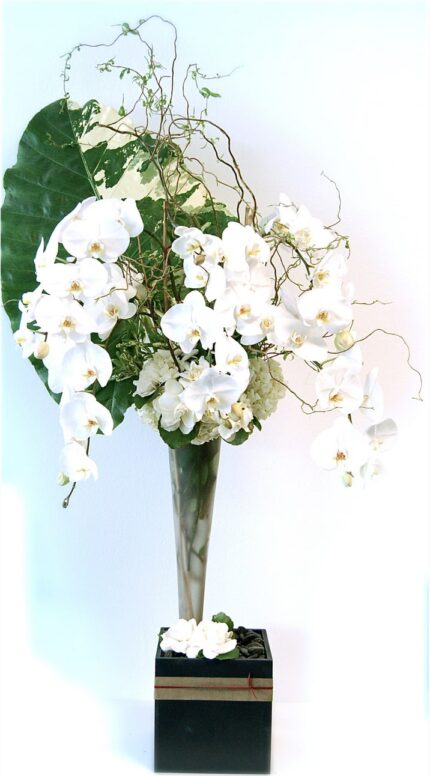 Waterfall Orchids - beverlyhillsflorist