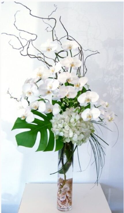 Orchids In The Sky - beverlyhillsflorist