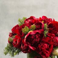 Seasons Greetings - beverlyhillsflorist