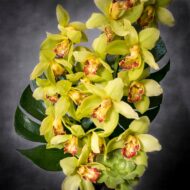 Cym me please! - beverlyhillsflorist