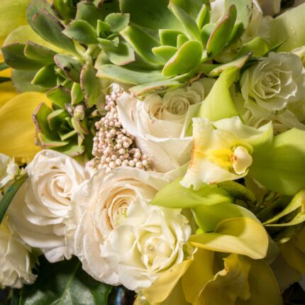 Lemon and Lime Special - beverlyhillsflorist