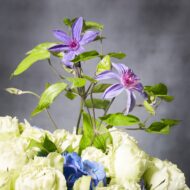 Rose Potpourri - beverlyhillsflorist