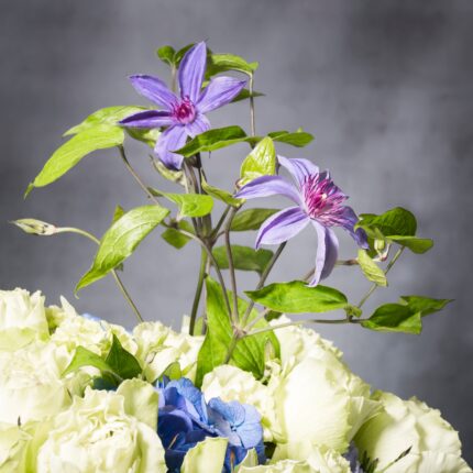 Rose Potpourri - beverlyhillsflorist