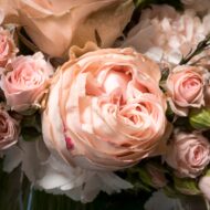 Valentines - Perfect Blush Garden - beverlyhillsflorist