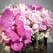 Pink Divine - beverlyhillsflorist