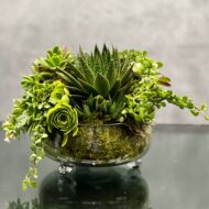 Green with Envy - beverlyhillsflorist