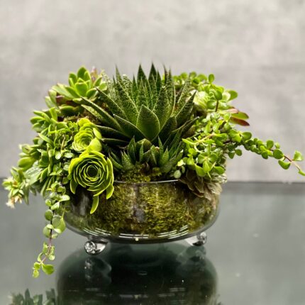 Green with Envy - beverlyhillsflorist